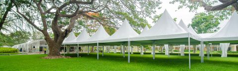 Party Tent